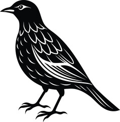 Fototapeta premium Elegant Weaver Bird Silhouette Icon.