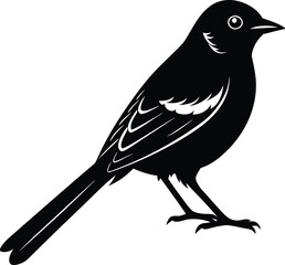 Graceful Bulbul Bird Silhouette Icon.