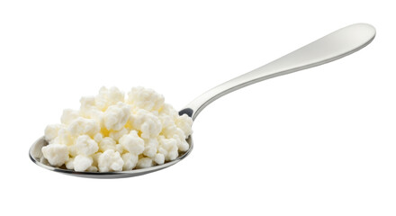 Isolated Cottage Cheese in Spoon
