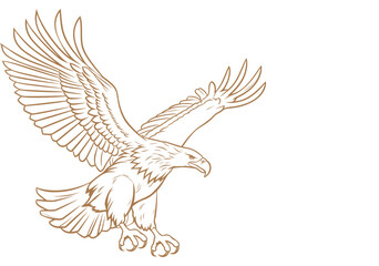eagle in flight