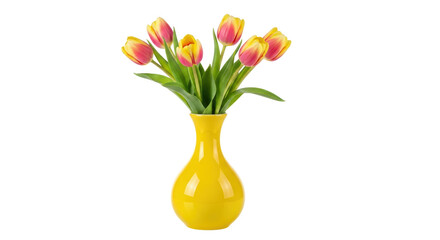Isolated Tulips in Vase