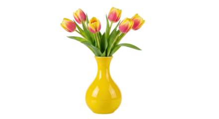 Isolated Tulips in Vase
