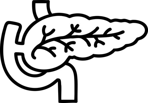 Minimalist pancreas icon. A simple vector graphic for medical textbooks, hospital diagrams, and educational content about human organs