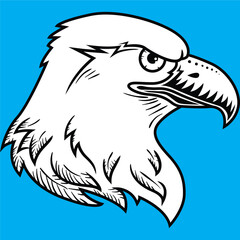 head of eagle