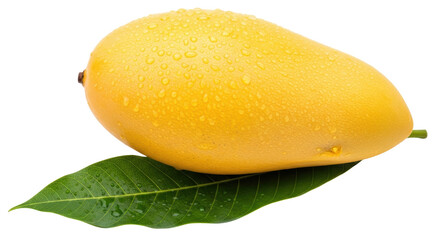 Isolated Fresh Mango with Water Drops