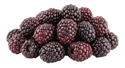 Isolated Blackberries Pile