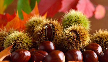 Autumn's Bounty: Close-up of chestnuts and colorful fall foliage. Capturing the essence of the season, the image is a feast for the eyes.