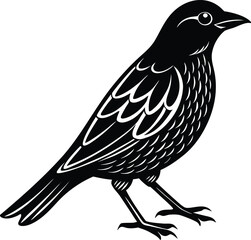Minimalist Single Weaver Bird Design.