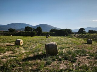 landscape with hay bales