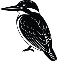 single kingfisher bird vector graphic.