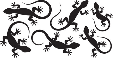 Fototapeta premium Six charming gecko silhouettes create a unique pattern on a clean, white background in a striking, graphic design.