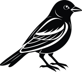 Single Shrike Bird Silhouette Icon.