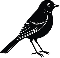 Single Redstart Bird Silhouette Icon.