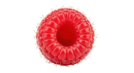 Isolated Raspberry Single Close-Up