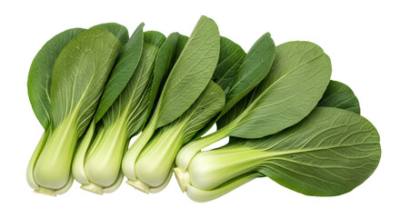 Isolated Bok Choy Vegetable Pile