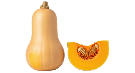 Isolated Butternut Squash Whole and Sliced