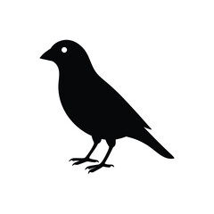 Fototapeta premium A crossbill bird silhouette vector illustration.