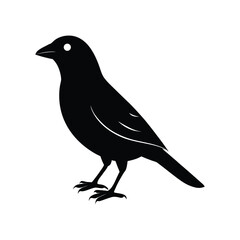 A grosbeak silhouette vector illustration.