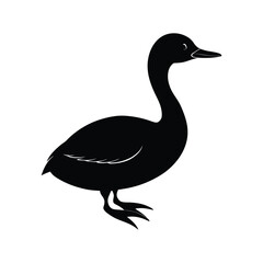 A grebe silhouette vector illustration.