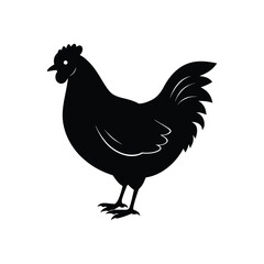 A hen silhouette vector illustration.