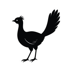 A lyrebird bird silhouette vector illustration.