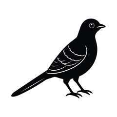 A nightjar bird silhouette vector illustration.
