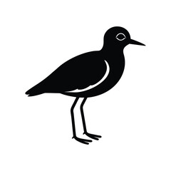 A plover bird silhouette vector illustration.
