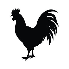A rooster bird silhouette vector illustration.
