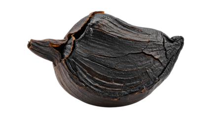 Single Black Garlic Bulb Isolated.