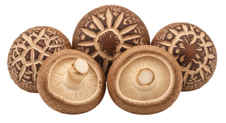 Isolated Group of Fresh Shiitake Mushrooms