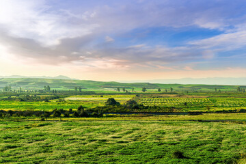 Scenic view at beautiful spring or summer sunset in a shiny meadow with golden grass and sun rays,...