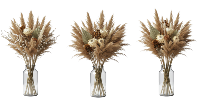 Three bouquets of dried flowers in glass vases for home decor isolated PNG with Transparent Background