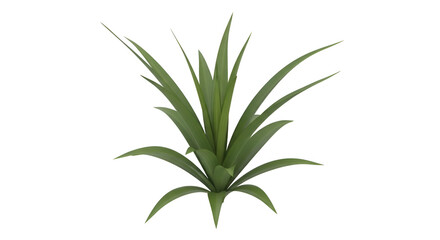 Naklejka premium Isolated Green Plant with Long, Pointed Leaves on White Background