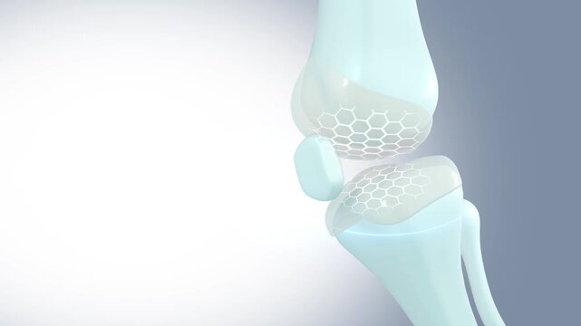 Treat bones and joints, add collagen to 3D knee joints