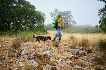 Hiker Exploring Rocky Terrain With Dog Amid Lush Nature During Foggy Weather