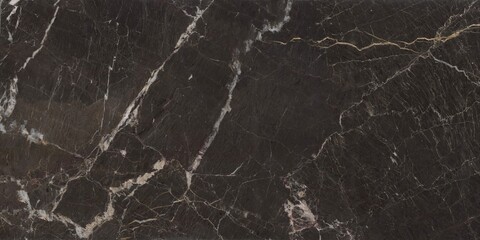 Elegant Dark Natural Stone Surface with White Veins and Speckled Texture	