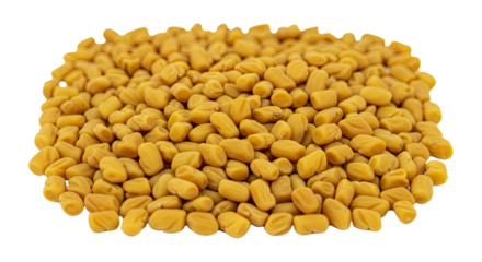 Pile of Fenugreek Seeds Isolated.