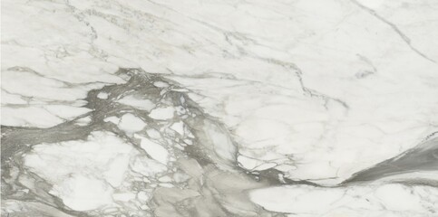 Elegant white and gray marble surface with dramatic veining	