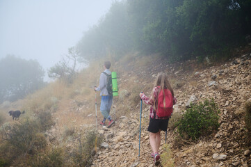Hikers Adventuring on a Misty Rocky Mountain Trail with Greenery