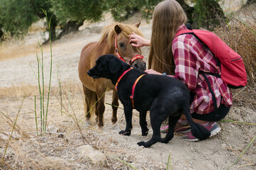 Person Hiking in Nature Interacting with Animals Among Hills and Vegetation