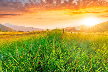 beautiful green valley with green fields with green spring grass with nive hills and mountains and...