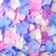 Colorful hydrangea petals in shades of pink and blue create a vibrant floral display