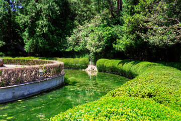 Isola dei Conigli - Rabbits Island.From the sweet face of the cherub, water shoots out of the fountain. located inside Villa di Barbarigo in Valsanzibio Galzignano Terme, Padua - Italy.