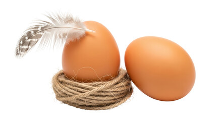 Isolated Brown Eggs