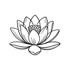 Obraz premium Elegant lotus flower with detailed petals and seed pod bloom