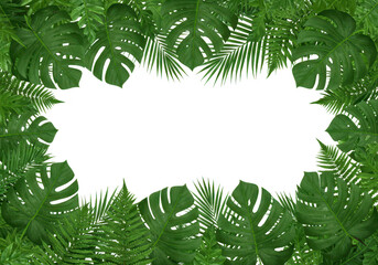 A vibrant border of tropical monstera and fern leaves frames a blank white space isolated on transparent background