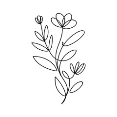 Delicate floral branch with flowing lines flowers leaves