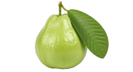 Isolated Single Guava with Leaf