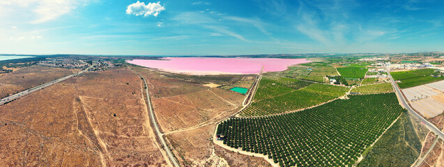 Panoramic aerial view of Pink Lake in Torrevieja, cultivated and uncultivated fields, Spain,...