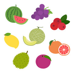 Fresh Fruits Collection Vector Illustration Set - Watermelon, grapes, cranberries, melons, mangos, durians, plums, grapefruits Flat Design Icons. Vector design elements.